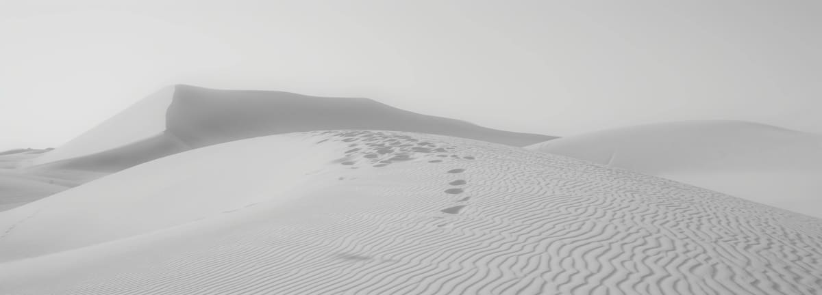 The Shopify Win-Back Email Campaign That Actually Reactivates Lapsed Customers
